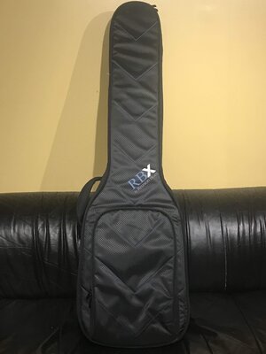 Reunion Blues RBX Double Gig Bag