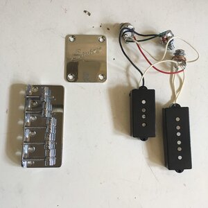 Pickups, Bridge, Neck Plate