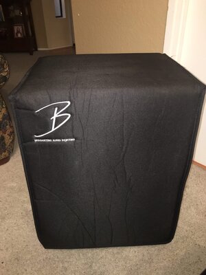 Bergantino NV115 +  cover + casters in So Cal