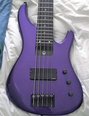 G. Gould GGi5 Purple Beast