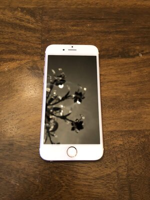 iPhone 6s 32gb Rose Gold(Sprint)