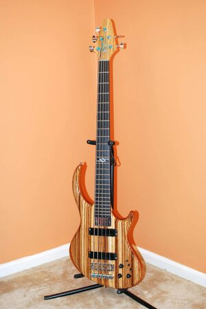 Alembic Rogue/ Orion 5 string