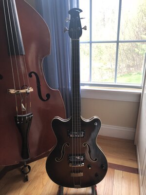 Vintage Ovation Typhoon Fretless