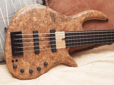 Elrick eVolution Fretless 5 maple burl and ebony