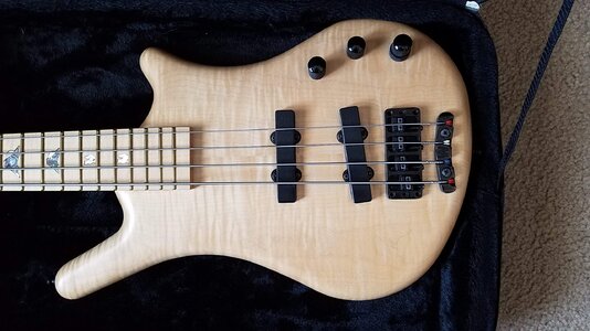 2003 LTD Warwick Bleached Blonde Thumb Bolt On - Price Lowered