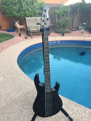 Musicman Stingray Stealth 5 String Bass