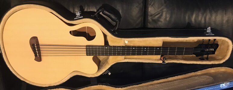 Reduced - Tacoma Thunderchief 5 String CB105C ABG - a Player!