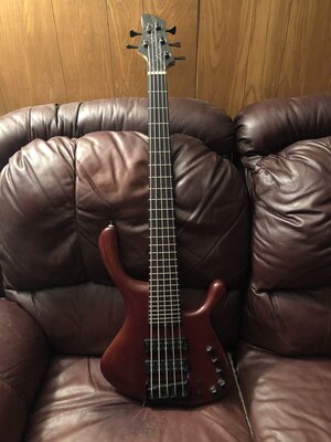 CallowHill 5 string OBS