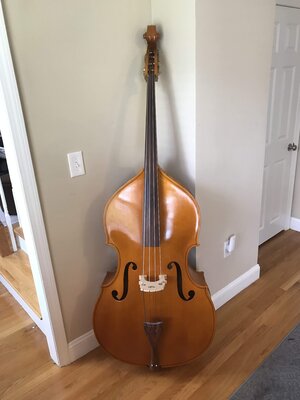 Engelhardt EM1 Double Bass - Price Drop