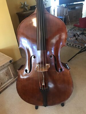 LEMUR Sunrise Series Doublebass - Catalina 2007