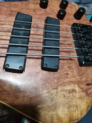 (Vid) Custom Roscoe LG 5-string Bass (or Best offer)