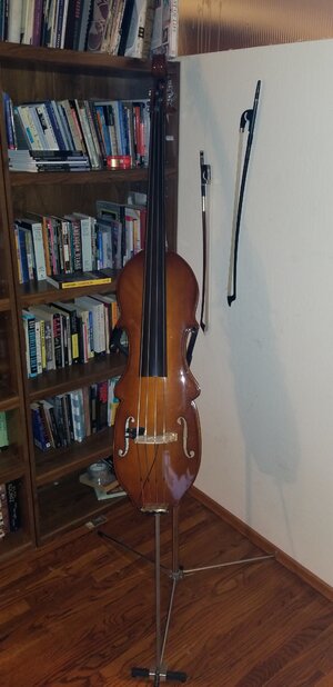 Eminence Acoustic Electric Upright Bass And Microcube Amp