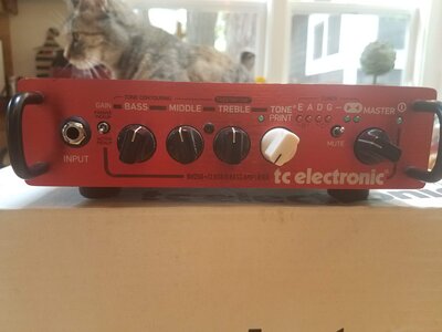 TC Electronic BH250