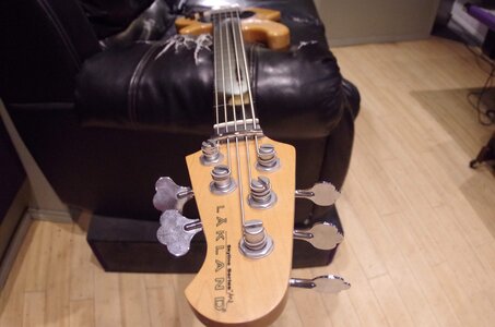 Lakland2.JPG