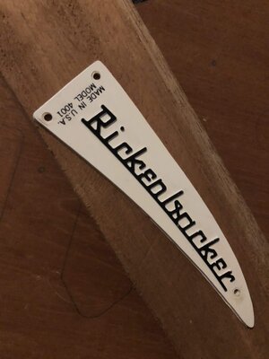 Rickenbacker 1976 4001 Truss Rod Cover