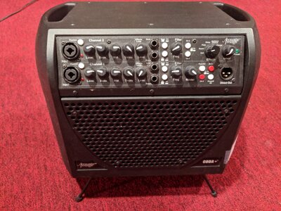 Acoustic Image Coda + Model 560AA Combo Bass Amplifier w Cover