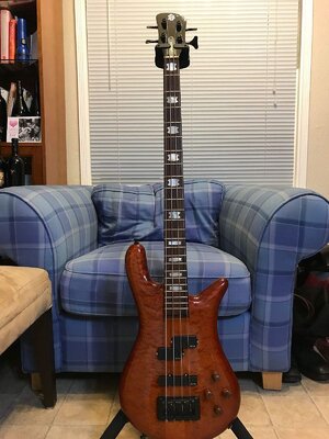 Spector Euro 4 LX Amber w/Darkglass Tone Capsule