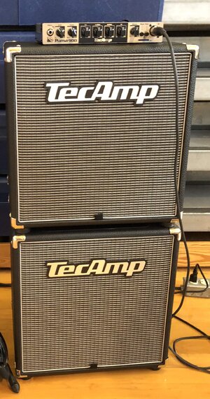 TecAmp Bass Rig **PRICE DROP** (Puma 900 & XS112 cabs)