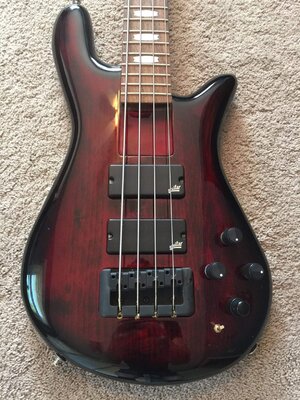 Spector Rebop DLX FM w/ Aguilar upgrades