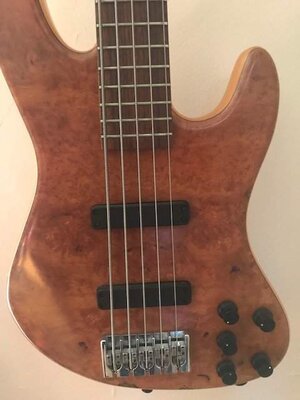 Overwater 5 String Bass $1000