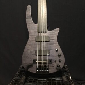 NS Design CR5 Radius Fretless 5 String