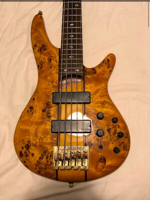 Ibanez sr805 5 string bass