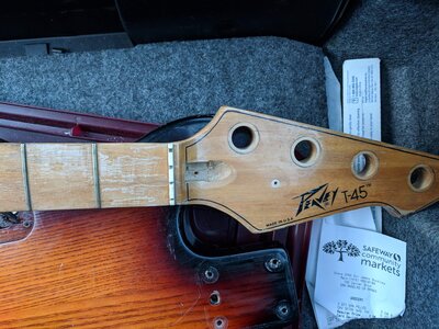 Peavey T45 project