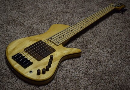 Rbass Roger Bass Single Cut 5 String Price Cut