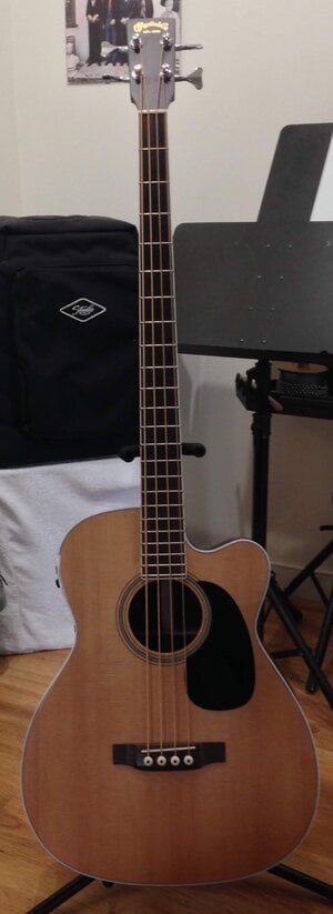 Custom Martin Acoustic Bass Guitar