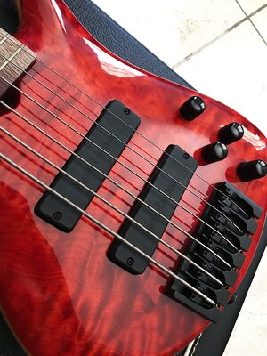 Custom Roscoe Bass 6 Strings