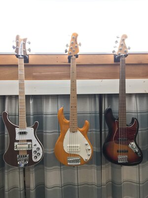 Thinning the Herd! (Rick, Stingray, and Fretless Essex)