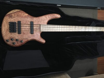 Adler Custom 4 String / Natural Burl (Reduced)