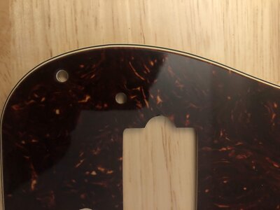 Genuine Fender Tortoise Pickguard