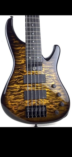 G Gould 5 String Bass Bees Wing Burst