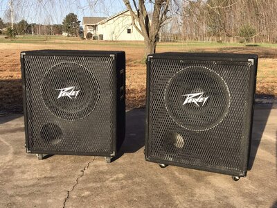 Peavey BX115 (x2) loaded with 1505-8 DT Black Widows