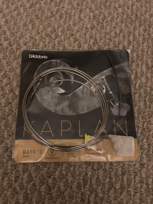 D’Addario Kaplan Solo double bass D string