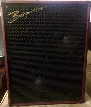 Bergantino HG310 Cabinet w/ Cover. Berg HG 310 cab - mint