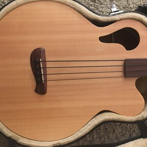 REDUCED PRICE! 2007 Tacoma Fretless Thunderchief CB10C Acoustic Bass w/Case