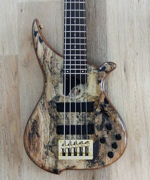 TUNE Hatsun TWB53 SM - 5 String Active Bass - Spalt Maple Top - Special NAMM model