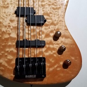 Custom SONNER 5-String Bass One-Of-A-Kind! $1200 OBO