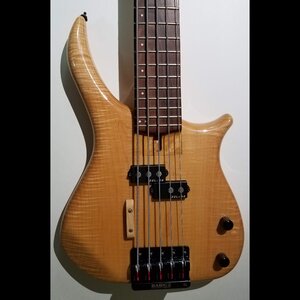 U.S. Masters 5-string PASSIVE