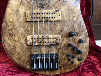 Fodera Imperial Elite 5 Chilean Laurel Burl