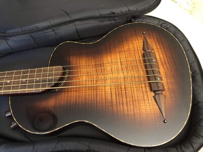 Rick Turner Renaissance 5-string Fretless Bass RB5-FL 2005