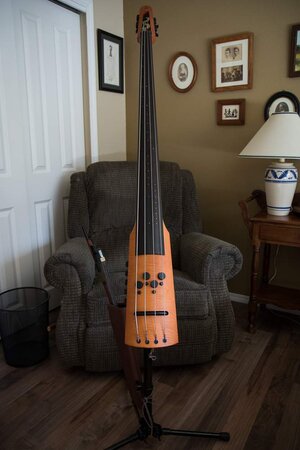 NS Design CR4M EUB Upright Bass