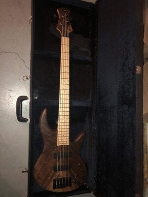 Price Drop! Stambaugh Master Series Custom 5 String Bass