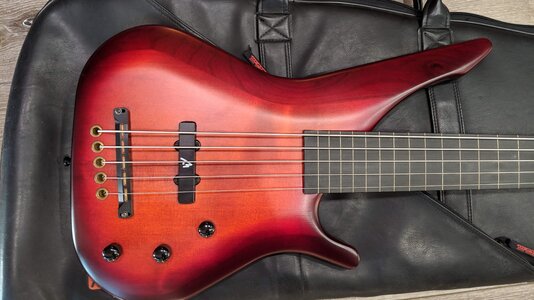 Manne Acoustibass lined Fretless 5