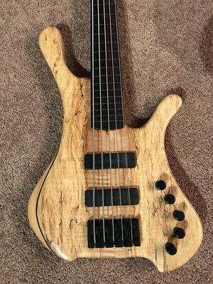 Clement 5 String Lined Fretless