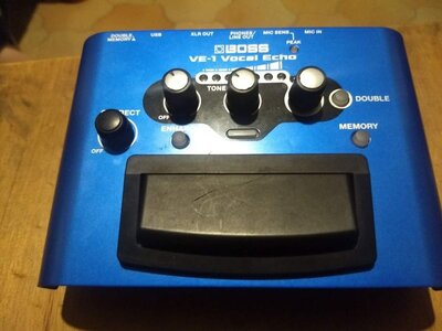 Boss VE-1 Vocal Echo Pedal: PROFESSIONAL STUDIO-QUALITY FX