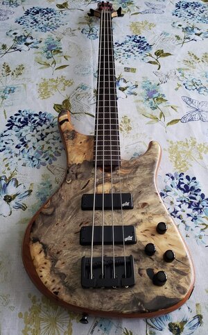 Roscoe LG Standard Plus RMLE Buckeye Burl, PRICE DROP