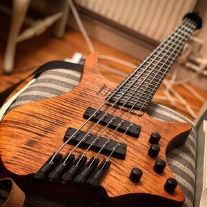 Strandberg Boden Prog 5!!! Brand New!!!